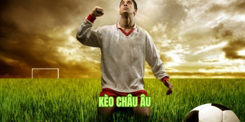 Bí quyết đọc kèo 1X2 hiệu quả cho thành viên mới